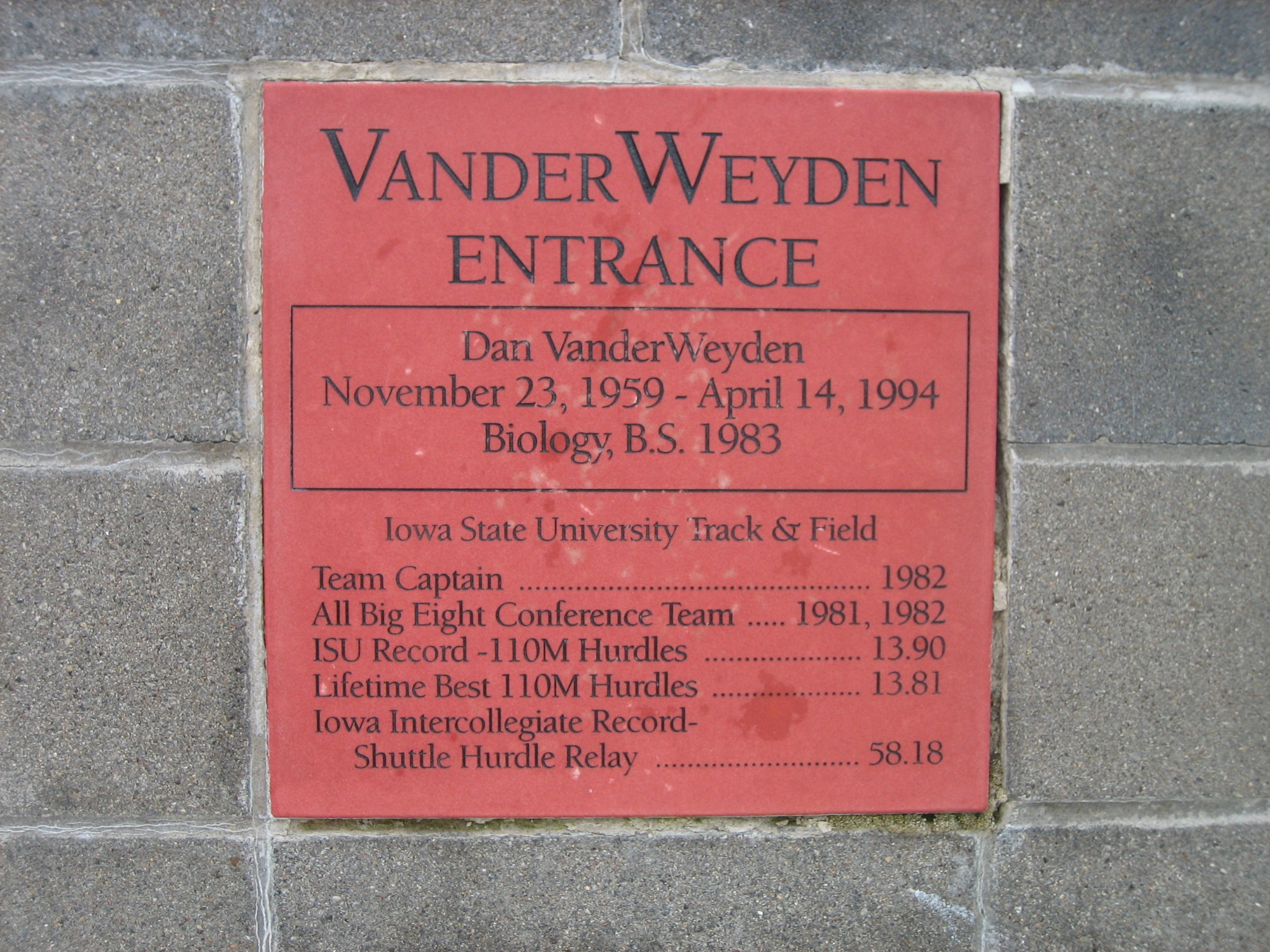closeup photo